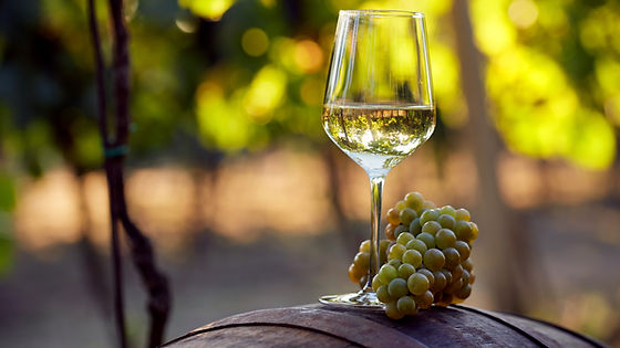 Sauvignon Blanc | 0.25L