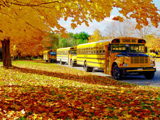 school bus