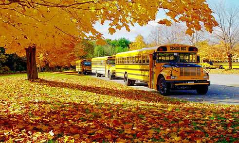 School Bus