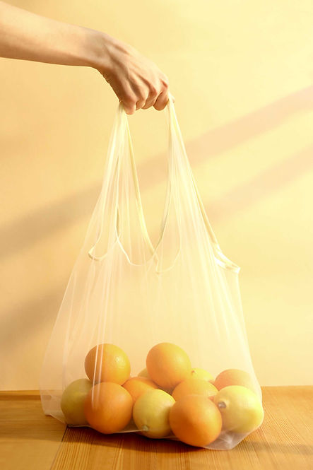 Bolsa de naranjas