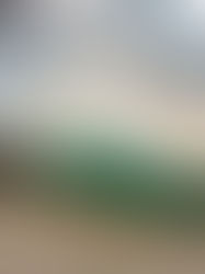 PATRICA INFORMA GIOVANI