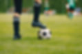 Ball on Grass