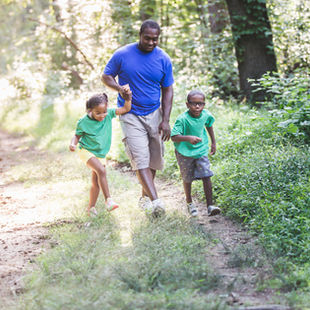 Inclusive Fitness Exploration