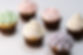 Colorful Cupcakes