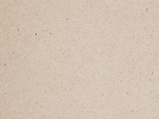 Grainy sand texture.