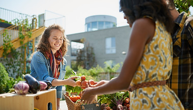 Farmers Market