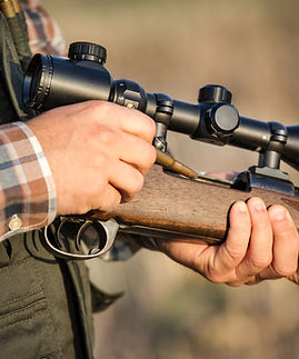 Loading Hunting Rifle