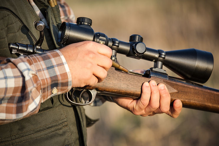 Loading Hunting Rifle