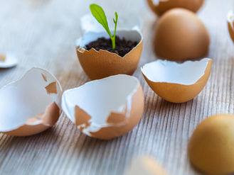 There's No One Way to Peel an Egg