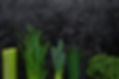 Green Vegetables