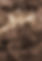 Abstract Brown Texture