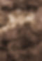 Texture brune abstraite
