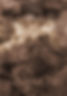 Abstract Brown Texture