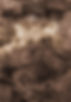 Abstract Brown Texture