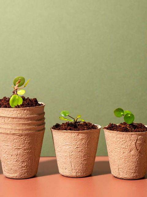 Aprendices antioqueños expondrán en Perú sus proyectos innovadores por el medio ambiente