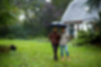 Rainy Day