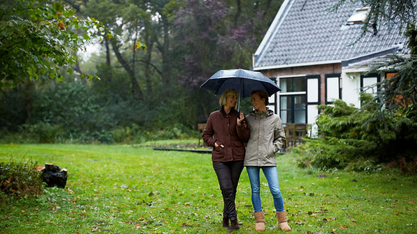 Rainy Day