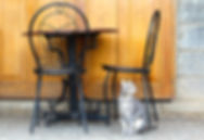 Gray Cat Under Coffee Table