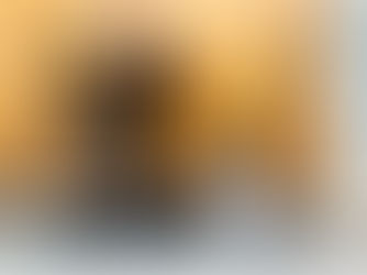 Mantén la Casa Fresca: Cómo Crear un Entorno Cómodo y Seguro para tu Gato en Climas Calurosos