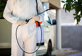 Pest Control Man