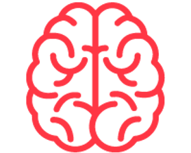 Brain