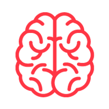 Cerveau