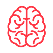 Brain