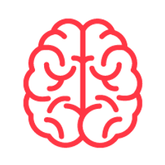 Brain
