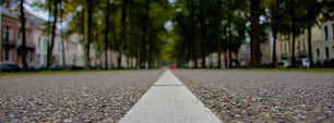 Tree-Lined Street