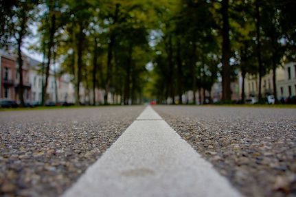 strada alberata