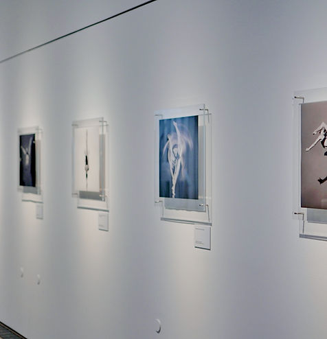 Exposition