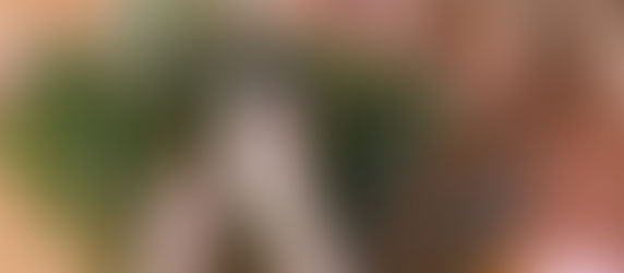 HERE ARE THE TOP TEN SOUTHERN CALIFORNIA FLORISTS YOU NEED TO CHECK OUT