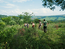 Marcher dans la nature