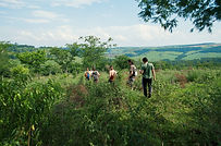 Trilha na natureza