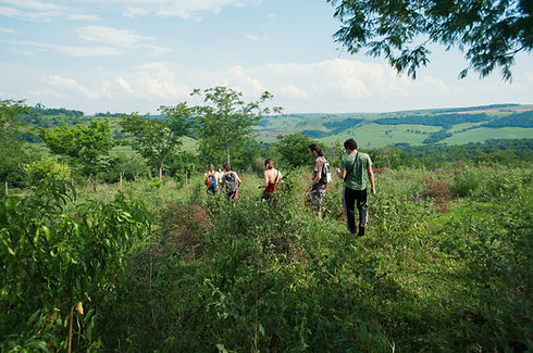 Trilha na natureza