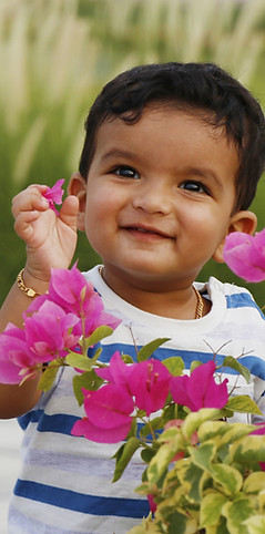 Picking Flowers