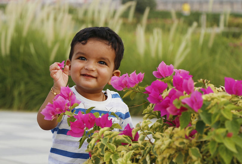 Picking Flowers
