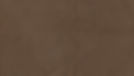 Brown Paper Texture