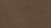 Brown Paper Texture