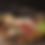 Thumbnail: Large Charcuterie Box