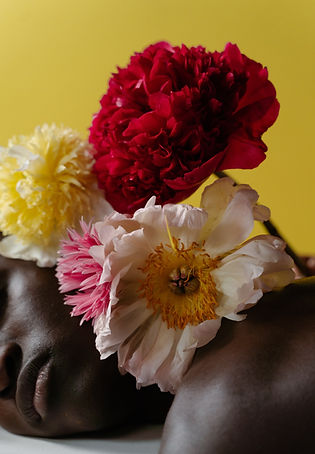 Flower Model