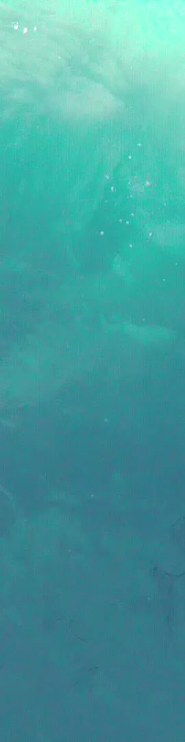 Learn To Wakeboard Boarder Pass Port Colborne Ontario