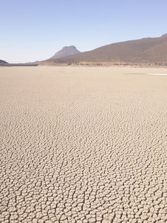 O Brasil pode se tornar inabitável em 50 anos devido aos efeitos do aquecimento global. 