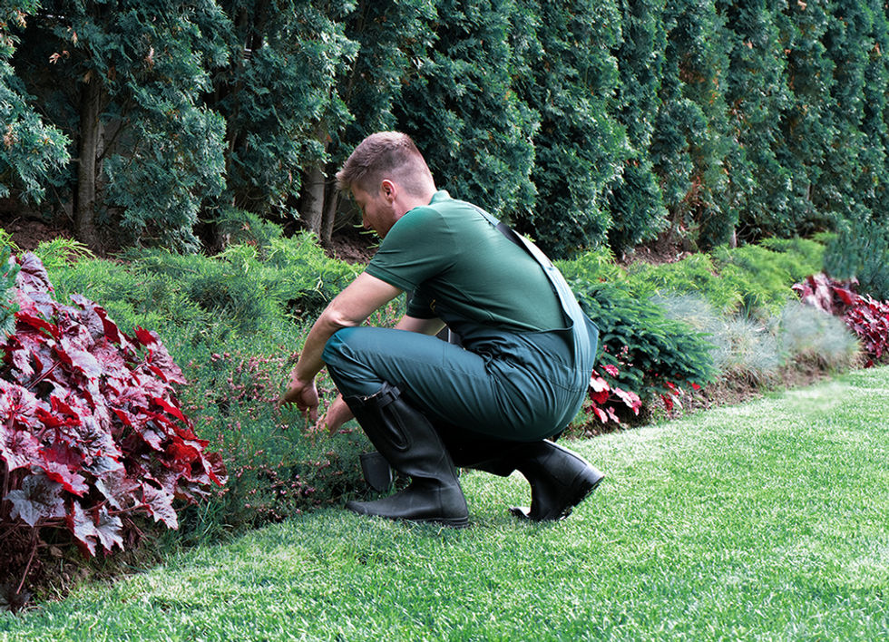 Gardener