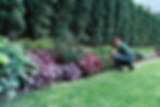20 Tipps Für Die Professionelle Pflege Von Garten- Und Außenanlagen