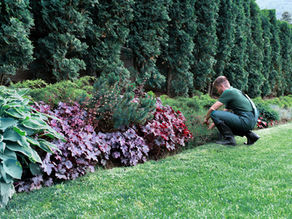 How to Choose the Right Soil for Your Landscape