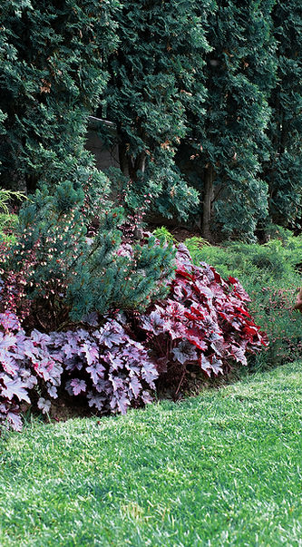 Entretien de jardin paysagiste