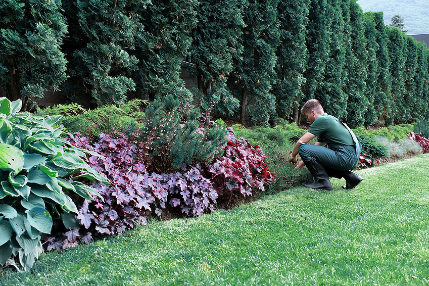Gardener