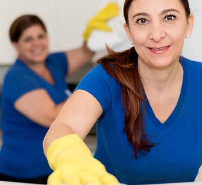 Cleaning Ladies