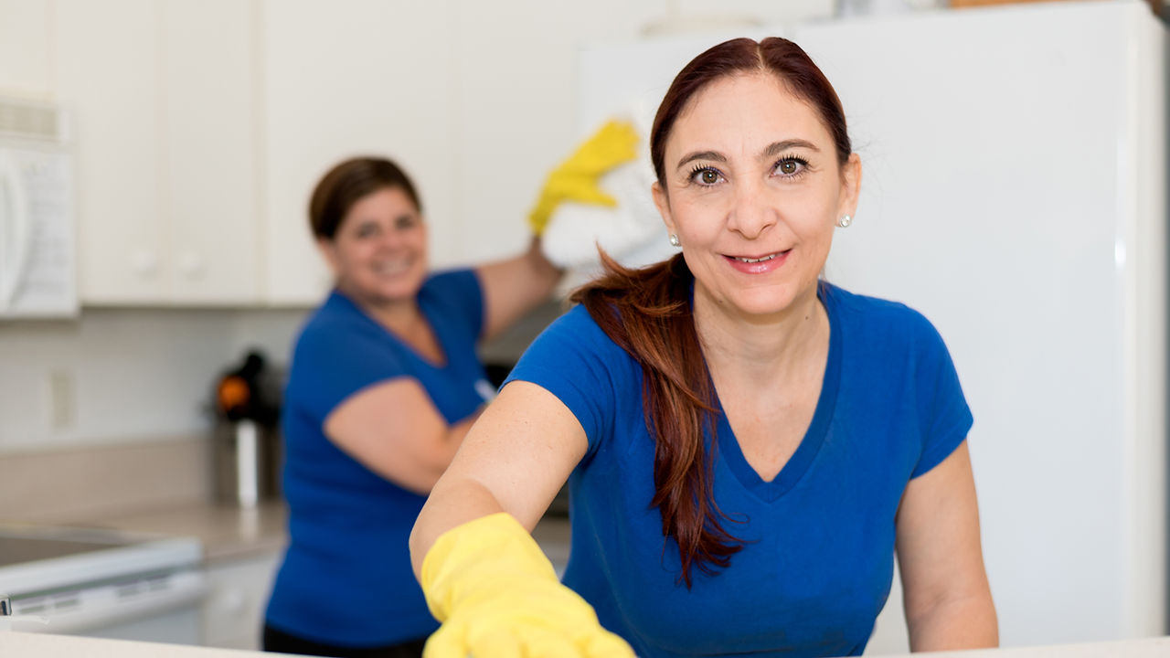 Cleaning Ladies
